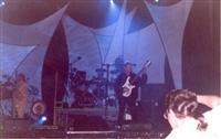 Live Shots